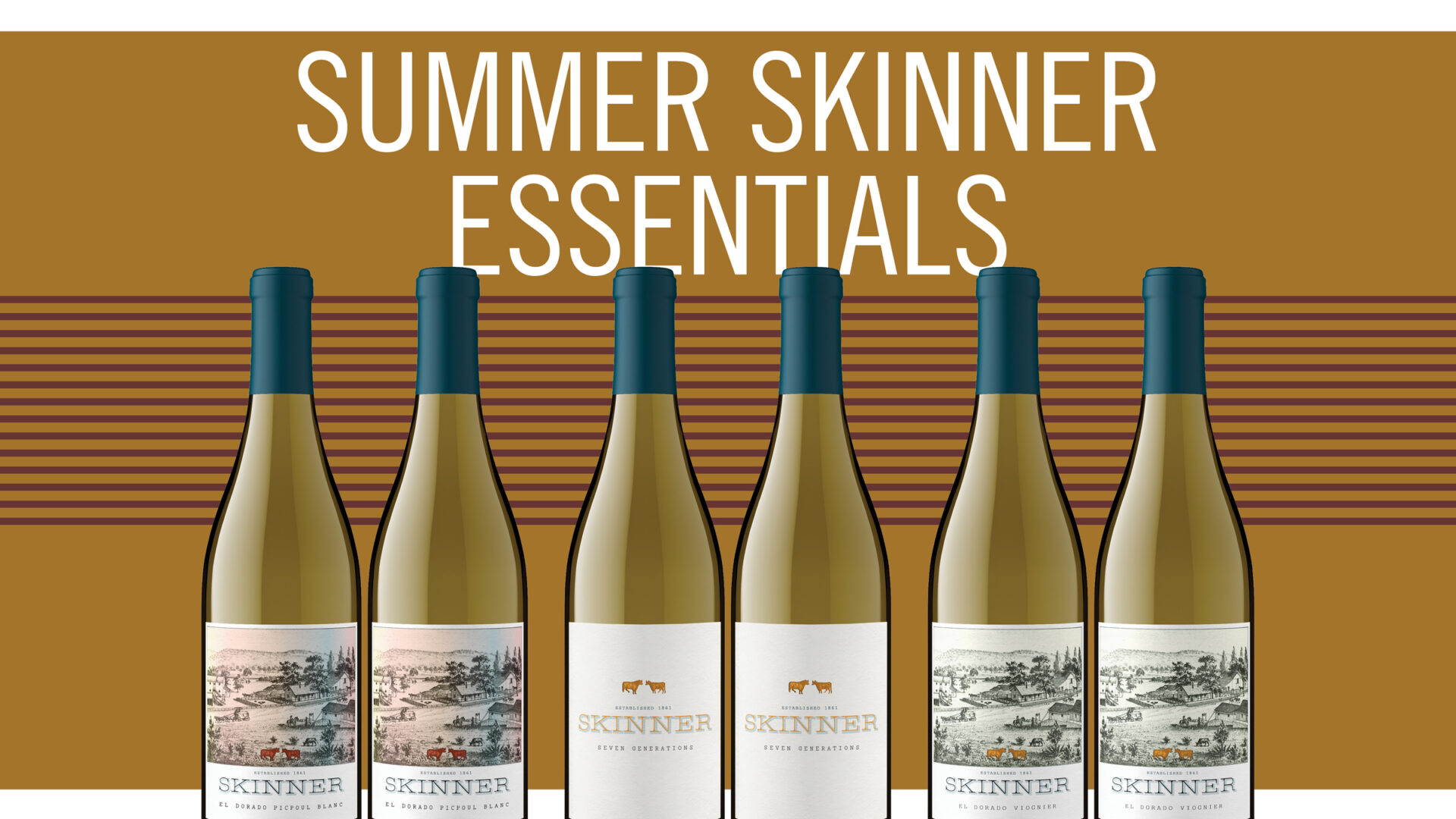 Summer Skinner Essentials